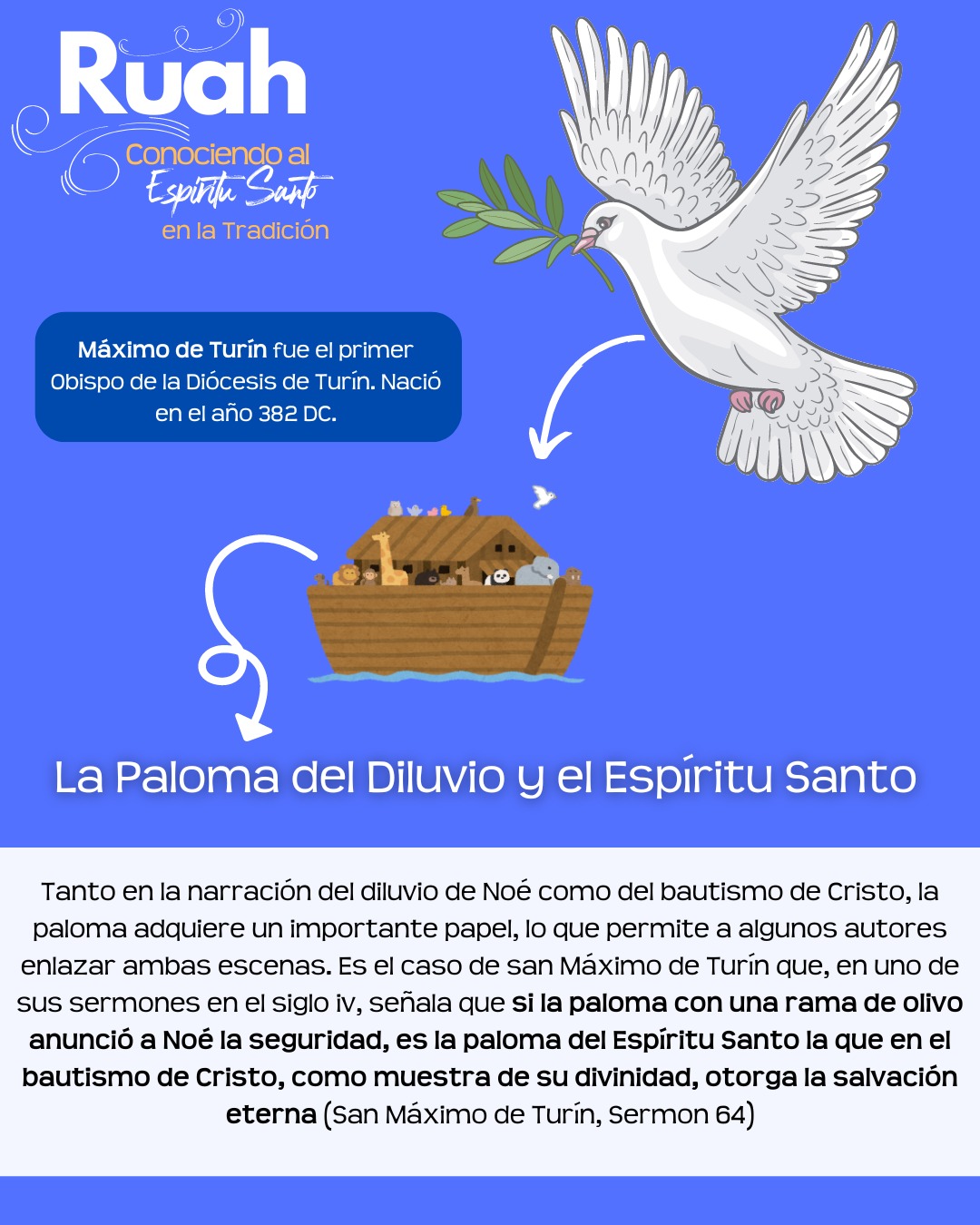 Maximo de Turin
